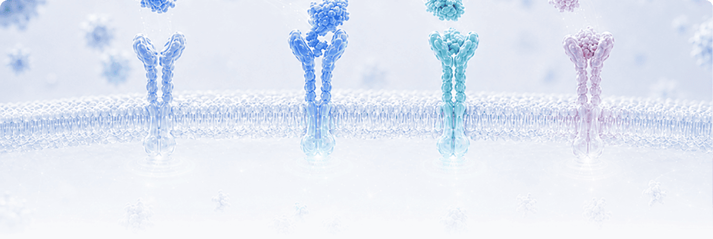 Cytokine Target Proteins